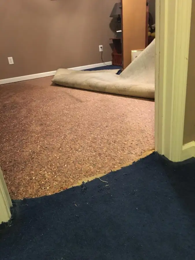 Carpet pad removal revealing water damage during Drying & Dehumidification in Springville