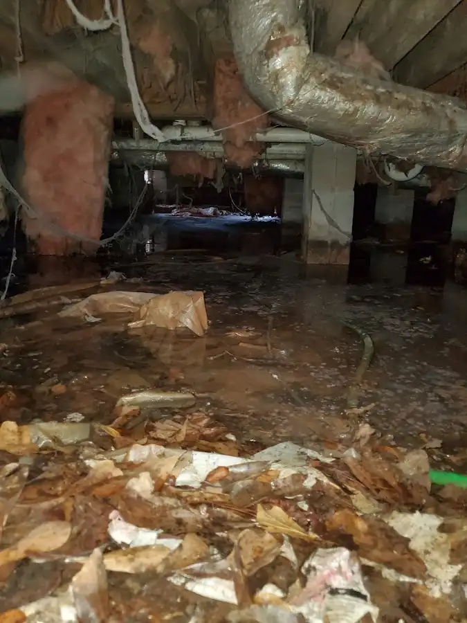 Crawl space flood assessment for Leak Detection & Repair in Springville